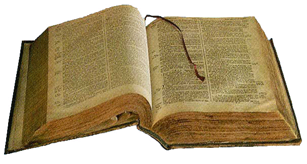 bibl